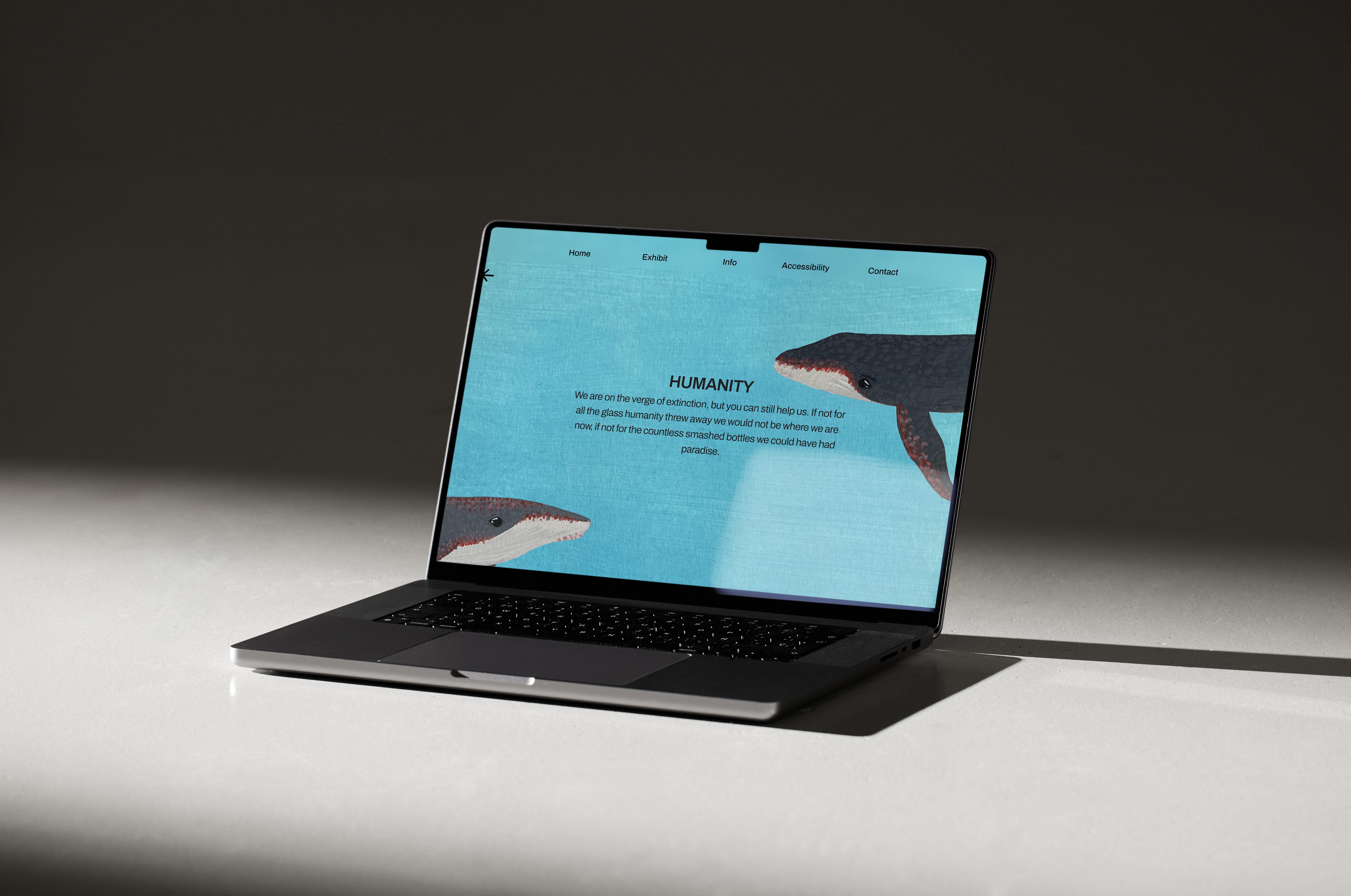 Laptop on dark background showing Humanity screen