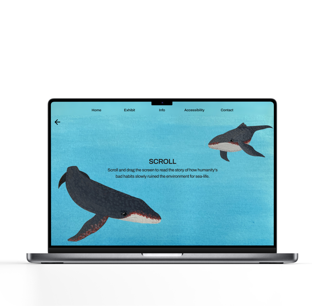 Laptop showing Scroll screen with whale
