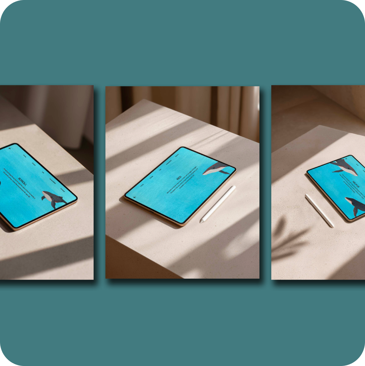 Three iPad mockups on teal background