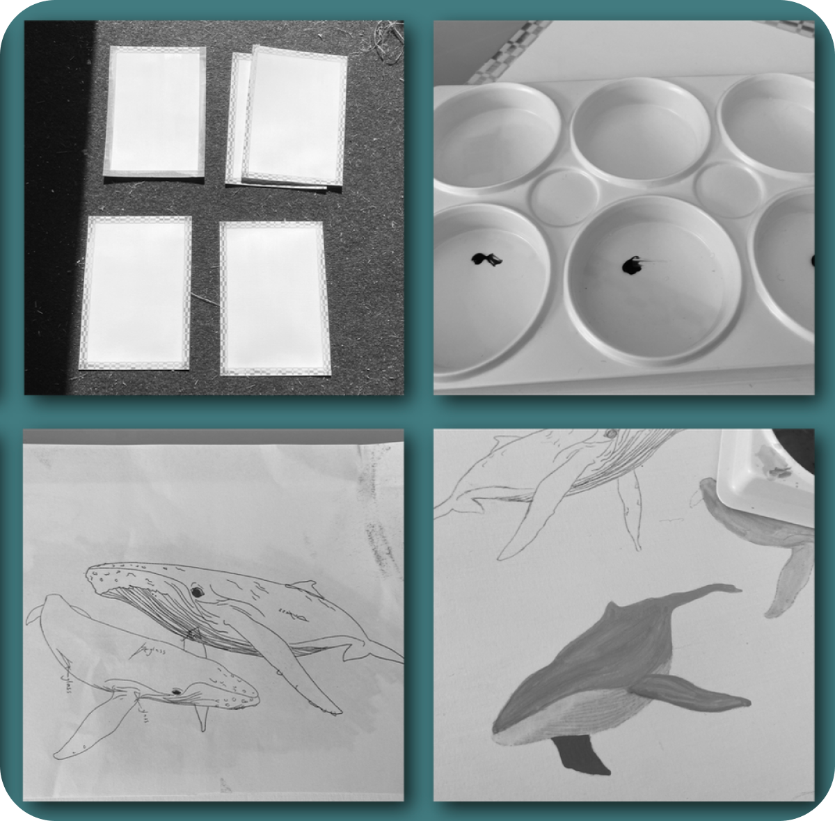 Four-panel grid of process photos and whale sketches